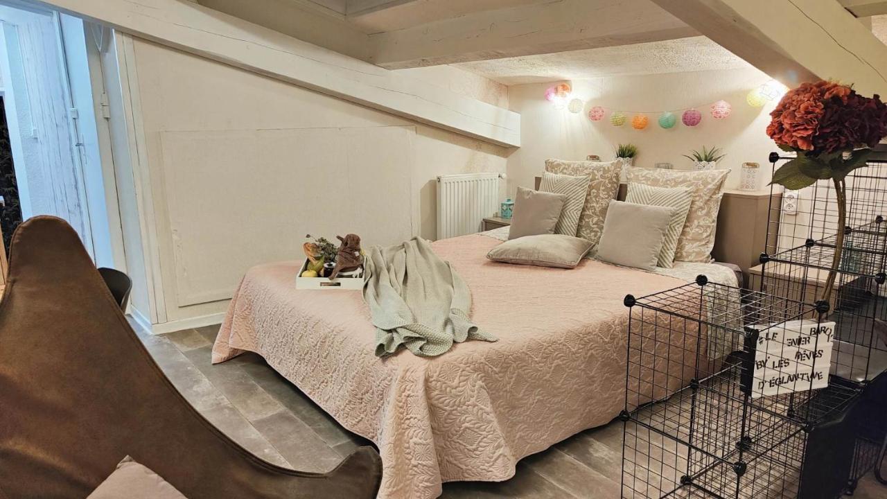 Les Reves D'Eglantine Et D'Augusta Chambres Et Gites Saint-Cyr  Bagian luar foto