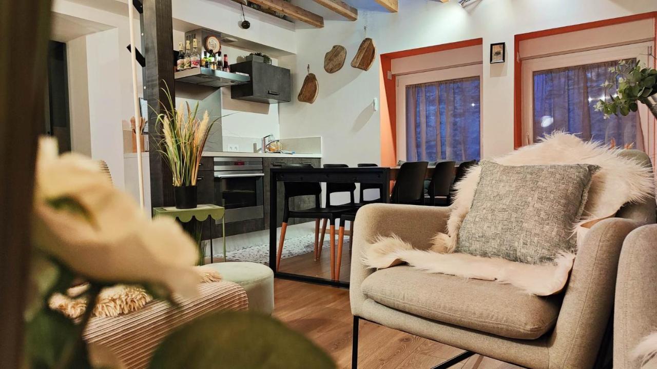 Les Reves D'Eglantine Et D'Augusta Chambres Et Gites Saint-Cyr  Bagian luar foto